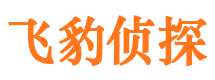 浙江侦探公司